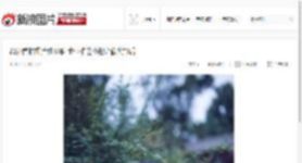 22岁首拍裸片胜汤唯 比张柏芝小的金像奖影后_高清图集_新浪网