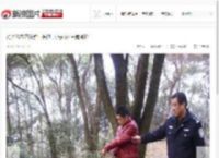 跨省盗墓团伙驻扎长沙 天马山汉王陵被盗_高清图集_新浪网