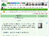 《当时我还很漂亮》童婳　^第17章^ 最新更新:2025-04-07 01:11:53 晋江文学城