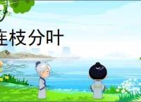 曝iPhone17关键生产材料极度短缺！库克急到天天催 _ 游民星空 GamerSky.com