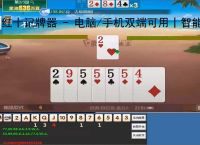 红十记牌器 - 电脑/手机双端可用丨智能算牌 炸弹提醒丨东北红十专用辅助工具