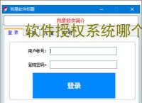 软件授权系统哪个好？2025年主流方案对比