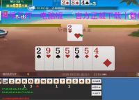微乐三打一电脑版 - 官方正版下载丨智能记牌 胜率分析丨四人斗地主专用辅助