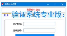 验证系统专业版：多维度软件防护方案解析