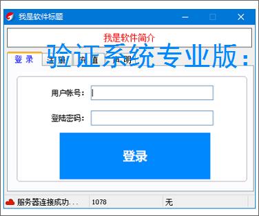 验证系统专业版:多维度软件防护方案解析